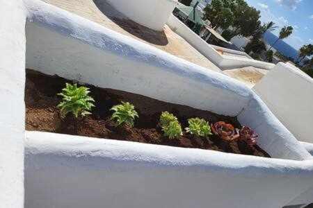 Fantastico Apartamento Con Terraza Y Vistas Al Mar Costa Teguise Kültér fotó